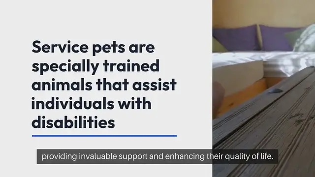Video thumbnail for Service Pets Suitability