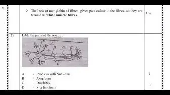 Video thumbnail for 11th Bio-Zoology 2nd MidTerm Answer Keys 2019-20 | Namakkal District | English Medium