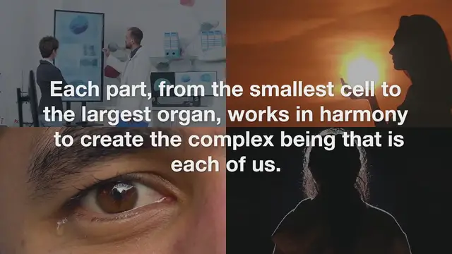 Video thumbnail for 5 Interesting Facts About Your Body