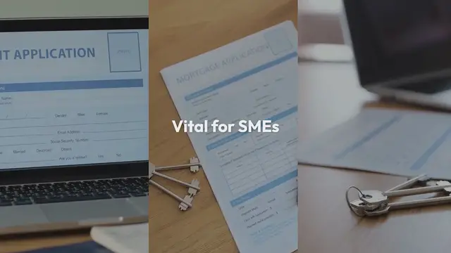 Video thumbnail for The Role of Financial Services in Supporting SMEs