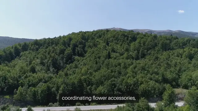 Video thumbnail for "Justin and Emily Baldoni Coordinate with Floral Details at 'It Ends with Us' NYC Premiere"