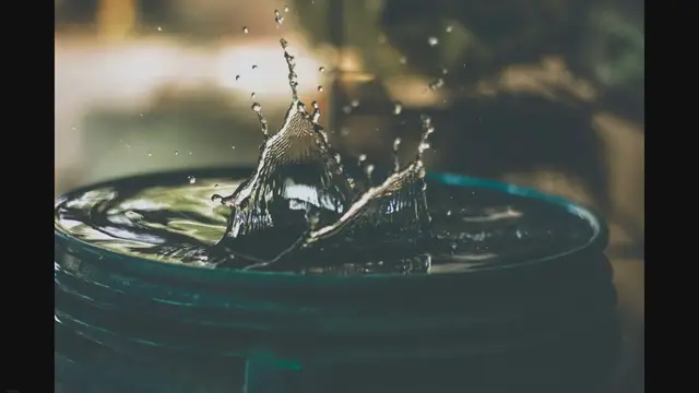 Video thumbnail for The Siamese Cat Diet: A Balanced Approach to Feline Nutrition