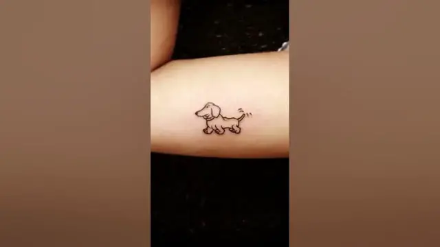 Video thumbnail for Cute dachshund tattoo ideas! #dachshund #tattoo #dachshundpuppy