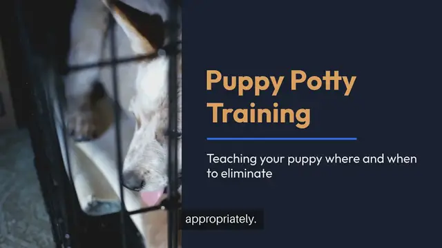 Video thumbnail for Puppy Potty Techniques