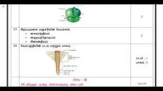Video thumbnail for 11th Bio-Botany - Quarterly Exam Answer keys 2019-20 | Namakkal District | Tamil Medium