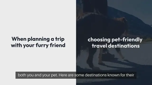 Video thumbnail for Pet Friendly Travel Destinations