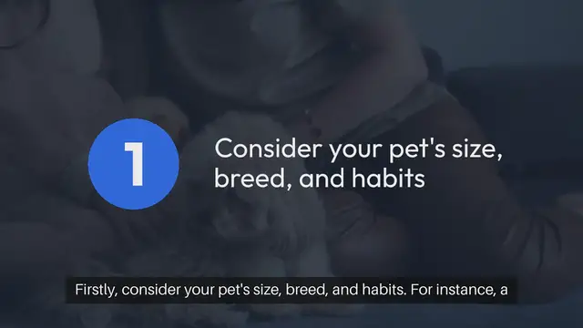 Video thumbnail for Pet Furniture Selection