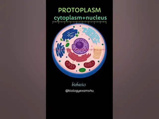 Video thumbnail for Protoplasm vs Cytoplasm|| Biobasics @biologyexams4u