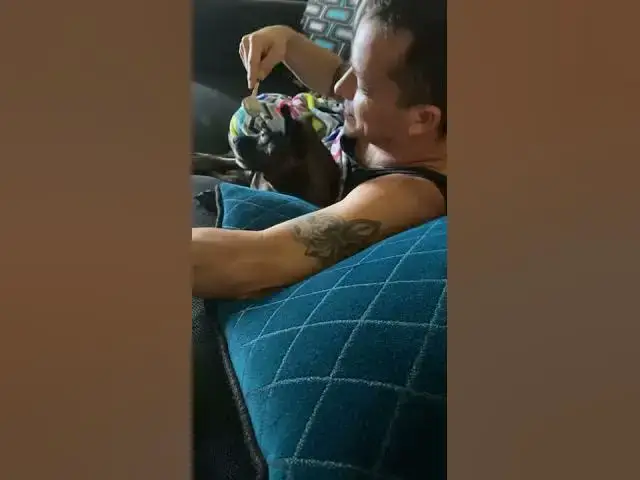 'Video thumbnail for Teasing the dog'