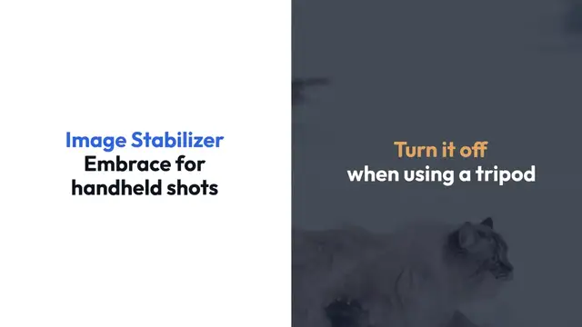 Video thumbnail for Mastering the Canon EF 70-300mm IS II USM Lens