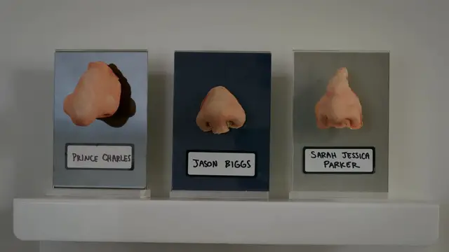 Video thumbnail for Catalogue of Noses - Screener - web export.mp4