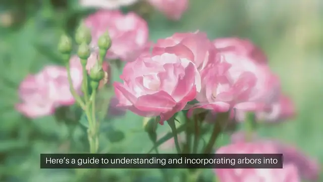 Video thumbnail for Arbors