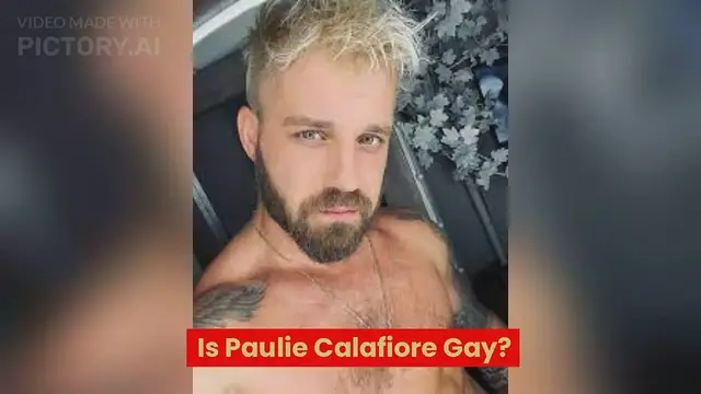 Video thumbnail for IsPaulie CaIs Paulie Calafiore Gay? Who is Paulie Calafiore? Age, Height and More
