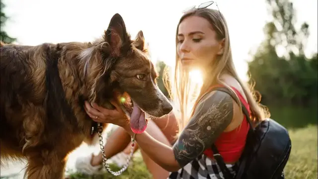 Video thumbnail for Balancing the Benefits and Drawbacks of Pet Ownership: Exploring the Pros and Cons