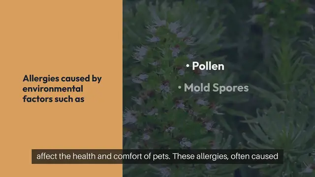 'Video thumbnail for Pet Seasonal Allergies'
