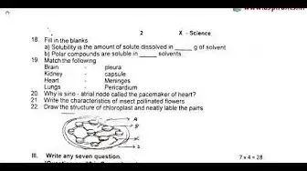 Video thumbnail for 10th Science First Revision Question Paper 2019-20 | Tirunelveli District | English Medium