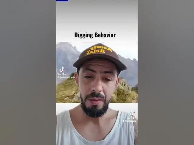 Video thumbnail for 4 august 2024