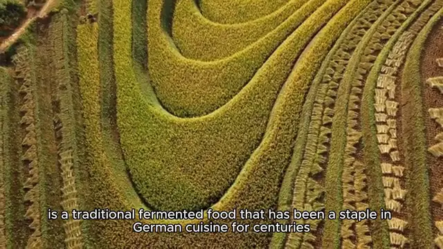 'Video thumbnail for sauerkraut'