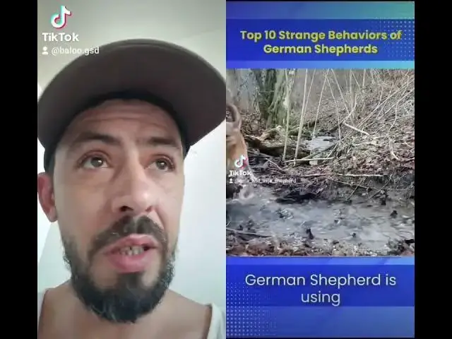 Video thumbnail for 4 august 2024