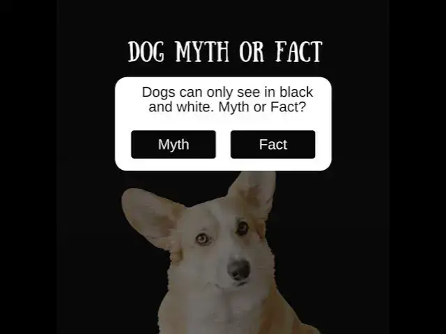 Video thumbnail for Unraveling Dog Myths 🐶: Fact or Fiction?