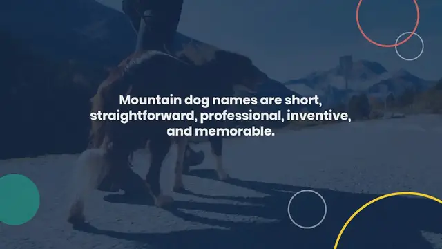 Video thumbnail for Most Popular Mountain Dog Names That Are Unique