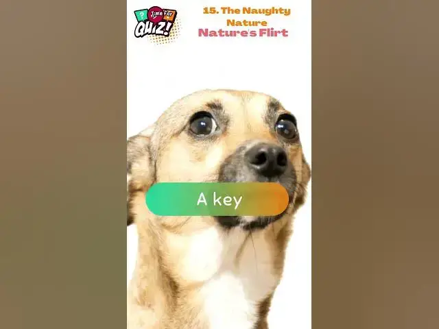 Video thumbnail for 🔥 25 Cheeky Riddles That'll Tickle Your Funny Bone! 😜 | Can You Handle the Wit? 15