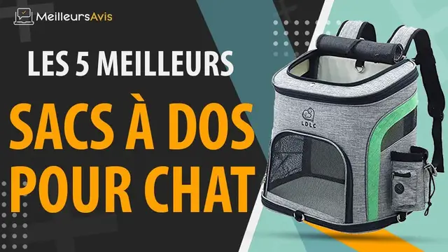 Video thumbnail for ⭐️ MEILLEUR SAC À DOS POUR CHAT - Avis & Guide d'achat (Comparatif 2022)