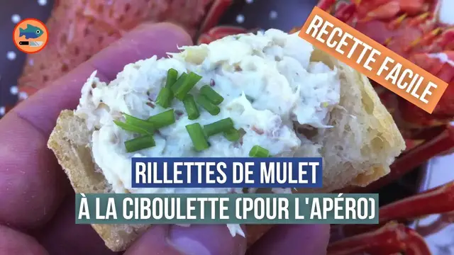 Video thumbnail for Rillettes de Mulet (Recette facile pour l'apéro)