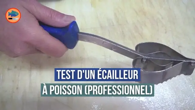 Video thumbnail for L'écailleur à poisson (professionnel)