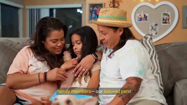 Video thumbnail for Top 20 Pets That Are Their Family