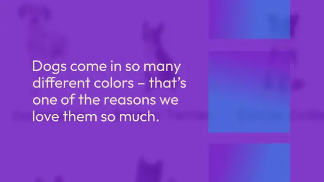 Video thumbnail for 25 Black and White Dog Breeds (With Pictures!)