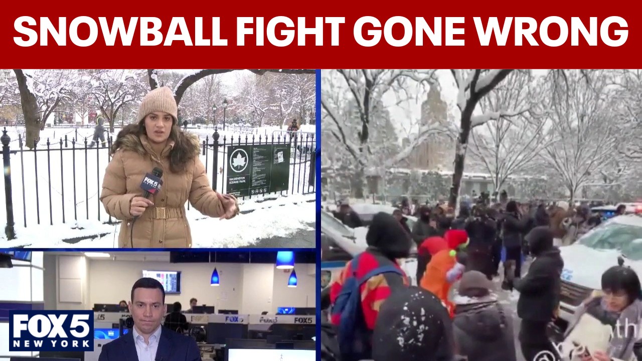 Video thumbnail for Deep dive into what happened during NYPD snowball chaos; 4 suspects wanted