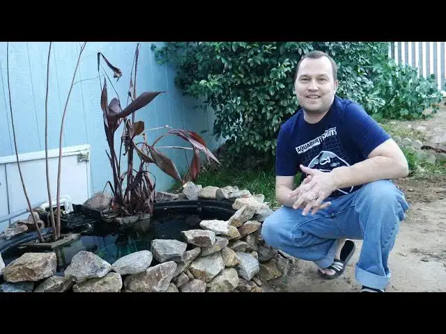 Video thumbnail for Unboxing Fish Trap to remove fish from pond