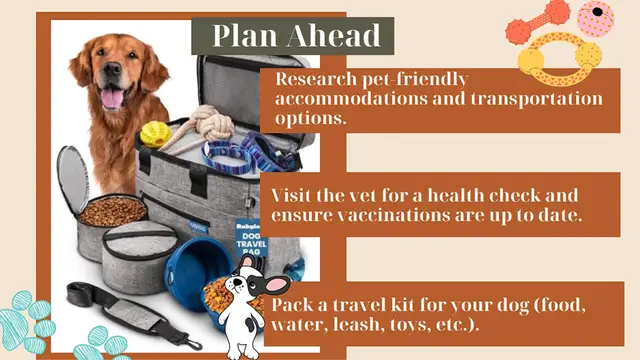 Video thumbnail for traveling with a dog