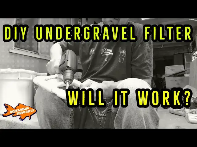 Video thumbnail for DIY Moveable Under Gravel Filter  - Aquarium Thoughts