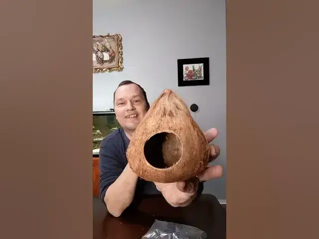 Video thumbnail for I won a Coconut Hut from Chattanooga Ed #shorts