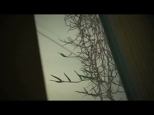 Video thumbnail for GRASS VIEW  WINDOW