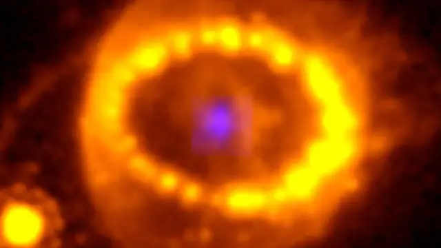Video thumbnail for The surprising discovery JWST uncovers in the 1987 supernova remnant