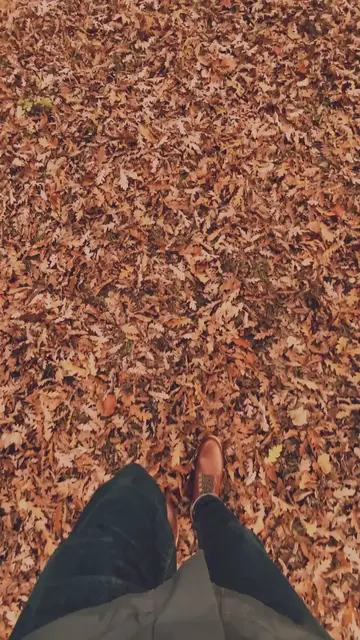 Video thumbnail for Oraciones de la Mañana: Caminar en tu verdad 🙏