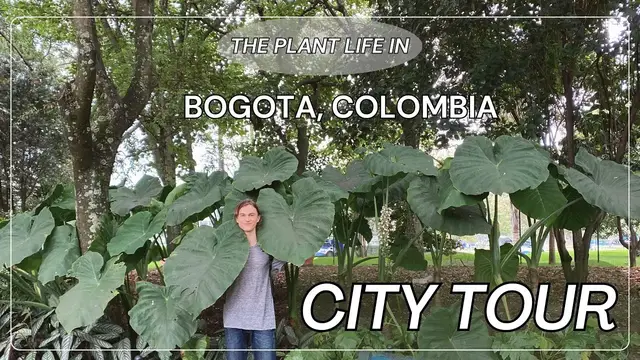 Video thumbnail for Bogotá, Colombia Plant Tour in the City - Visiting Abuela's Garden - Colombian Lifestyle