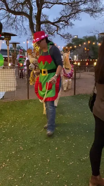 Video thumbnail for Holiday Reindeer Alpaca Parade in Austin at Dusk
