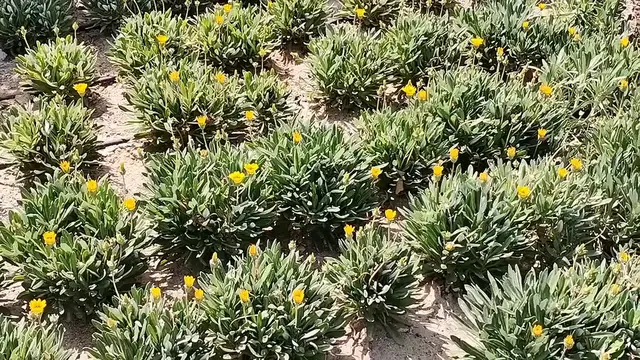 Video thumbnail for Nature (12)