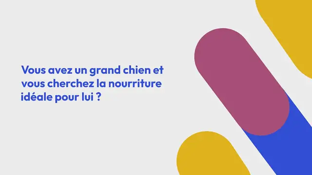 Video thumbnail for Les 8 meilleures croquettes pour grand chien en 2024