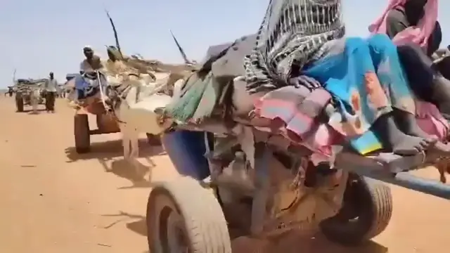 Video thumbnail for Sudan: Displaced Families Pour Into Tawila Amid Aid Crisis.