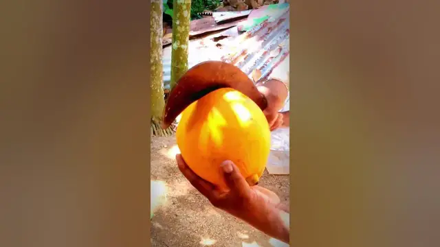 Video thumbnail for Amazing Healthy Drink | King Coconut 😍 | #coconut  #shorts