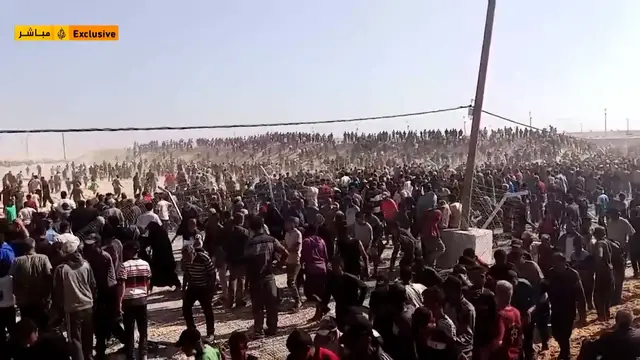 Video thumbnail for Chaos erupts as Palestinians rush to aid site after months of blockade