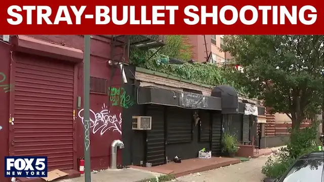 Video thumbnail for Brooklyn mother of 5 killed in stray-bullet shooting, NYPD says
