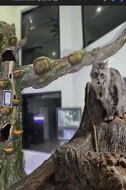 'Video thumbnail for Tallest residential cat-scratching tree - 4.9m (16 ft 1 in) by Will Powers'