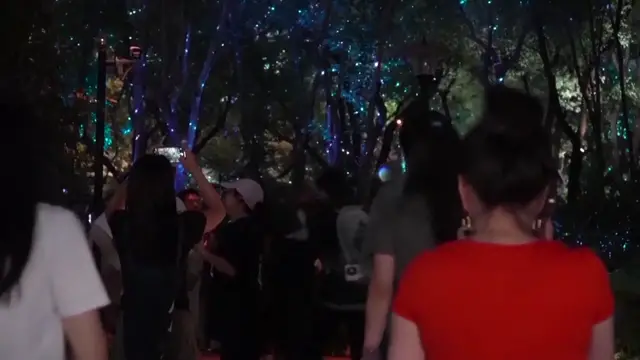 Video thumbnail for China: Shanghai International Light Festival illumines city, boosts night-time consumption.