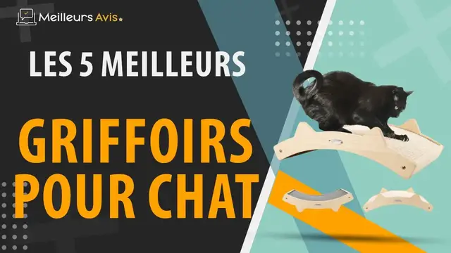 Video thumbnail for ⭐️ MEILLEUR GRIFFOIR POUR CHAT - Comparatif 2024